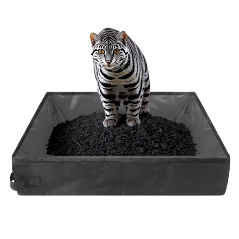 BacLitiereChatd_Angle