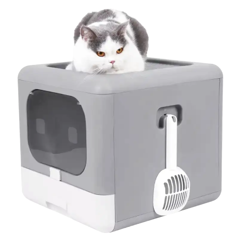 Bac Pour Litière Chat