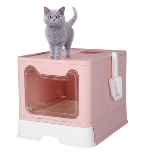 Caisse Pour Chat