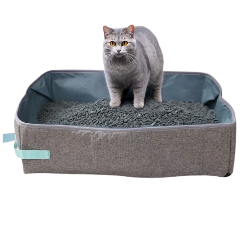 LitiereFermee-Chat