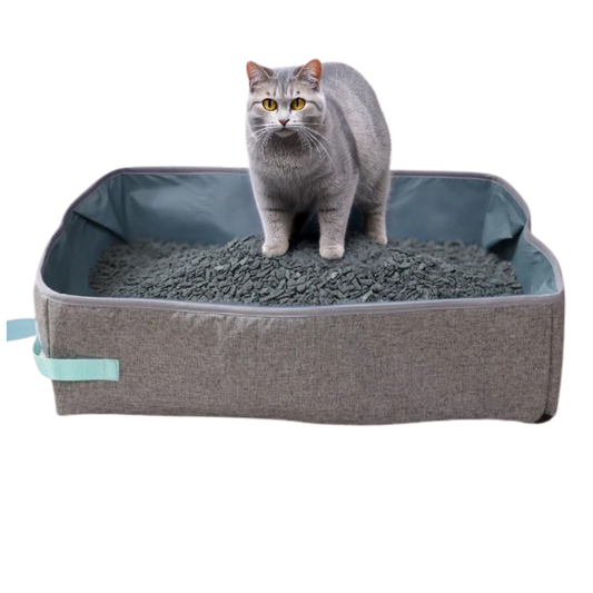 LitiereFermee-Chat