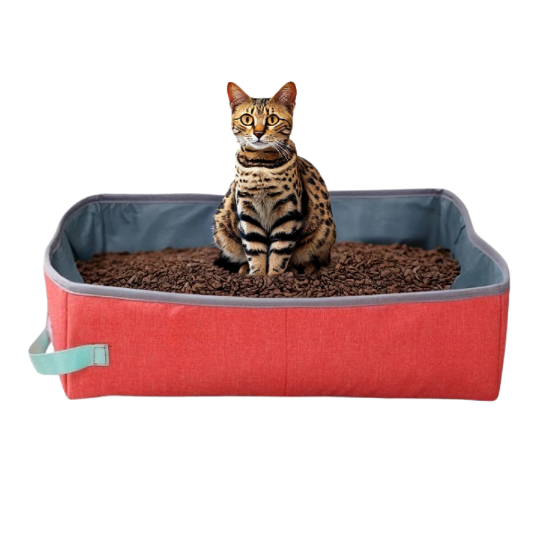 MaisonDeToilettePourChat