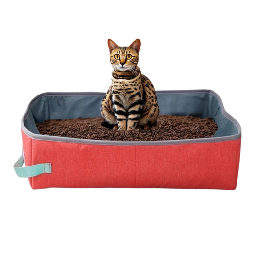 MaisonDeToilettePourChat