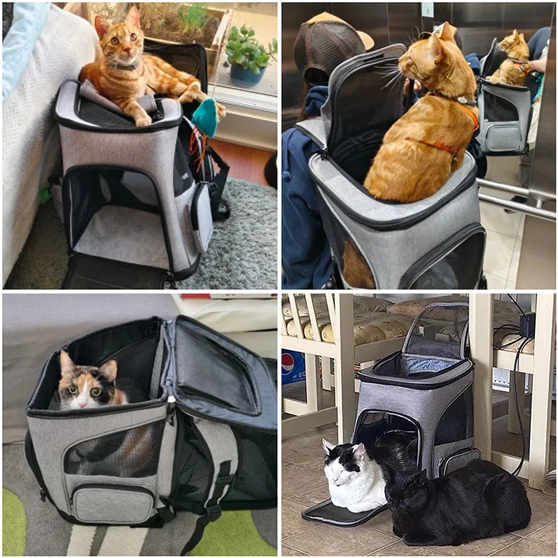 Sac à Dos de Transport pour Chat & Petit Chien – Confort & Aération (Max 6.5kg) 🐱🌍