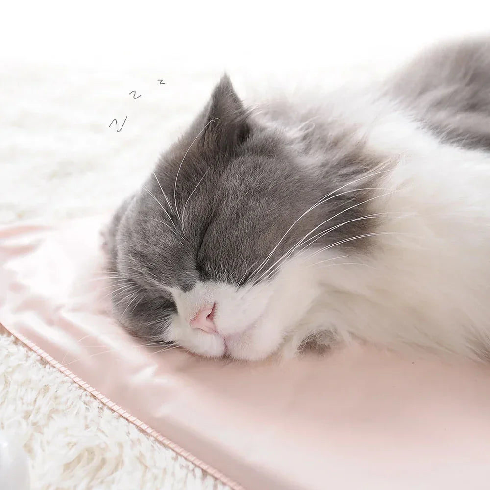 Coussin Chauffant Premium pour Animaux – Confort & Sécurité