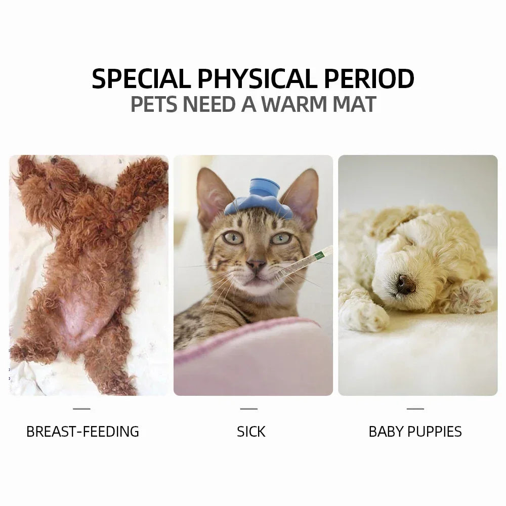 Coussin Chauffant Premium pour Animaux – Confort & Sécurité