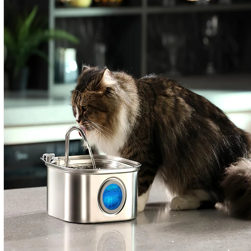 Fontaine Inox 2.2L avec Capteur de Mouvement – Eau Propre & Hygiénique pour Chat/Chien 💧✨