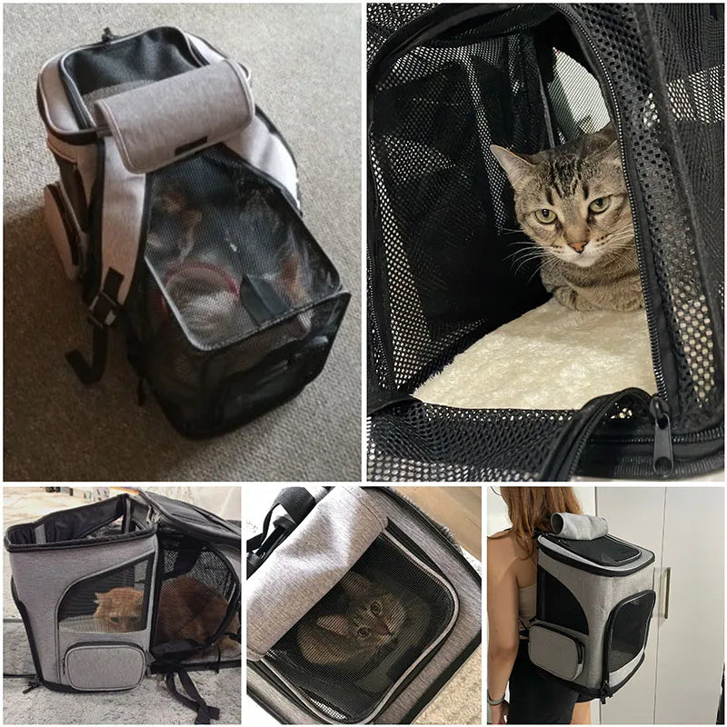 Sac à Dos de Transport pour Chat & Petit Chien – Confort & Aération (Max 6.5kg) 🐱🌍