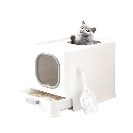 Bac à Litière Pour Chat