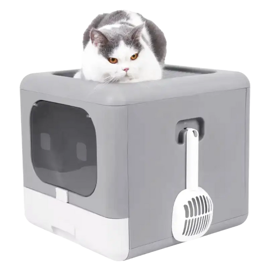 Bac Pour Litière Chat