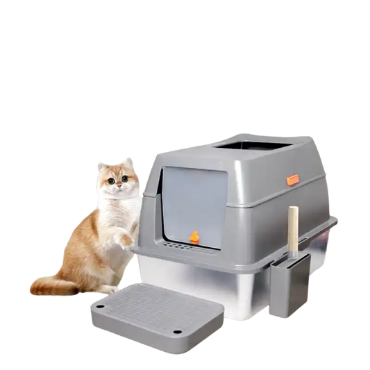 Litière Bac Chat
